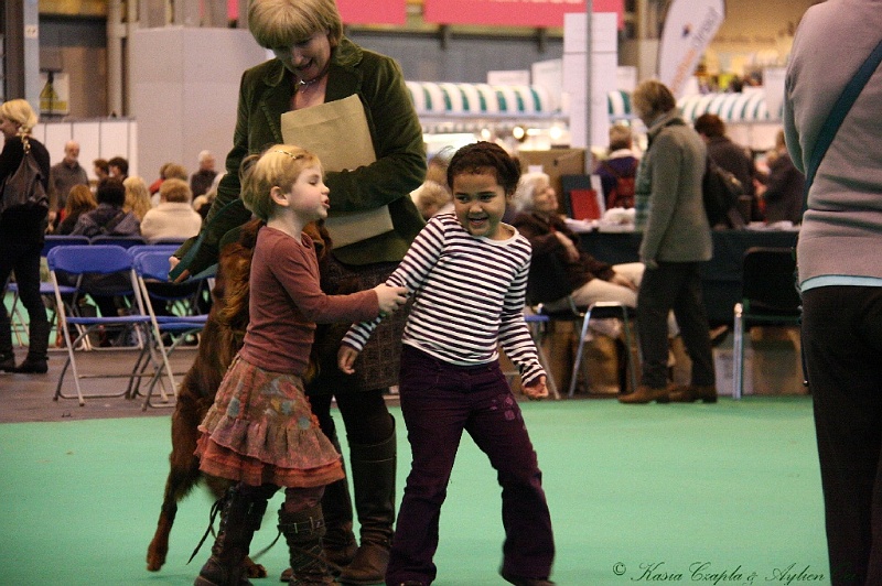Crufts2011_2 140.jpg